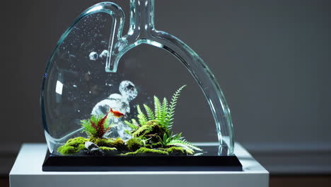 artistic lungs aquarium with goldfish