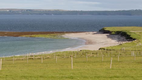 Shot-of-a-sandy-beach-on-a-sunny-summer-day-with-crofts-and-fields-with-fences