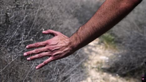 close up slow motion of hiker's hand going through and skimming branches as he walks along a desert trail