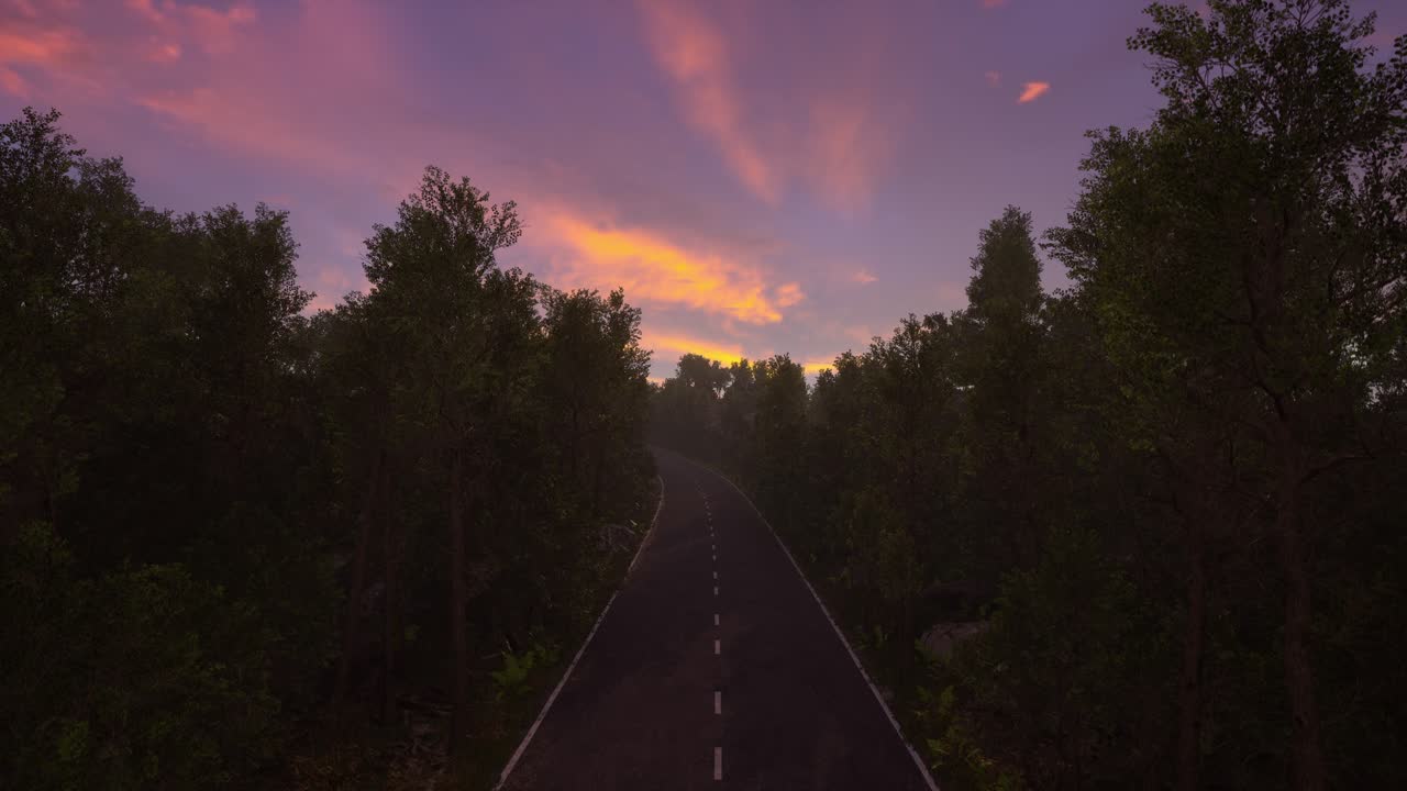 Strada forestale serena al tramonto con un cielo vibrante.