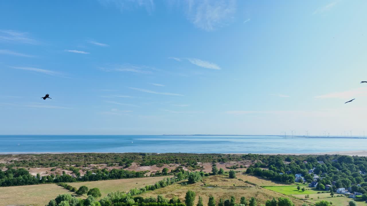 날아가는 새를 따라가는 드론 패닝 샷