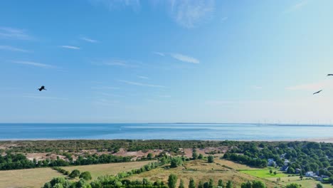 toma panorámica de drones, siguiendo pájaros en vuelo