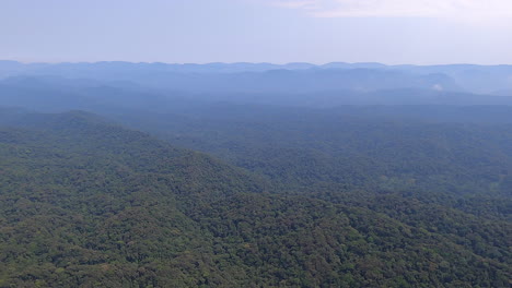 Selva-De-La-Montaña-Del-Valle-Del-Rift,-Parque-Nacional-De-Virunga,-Drc-Congo,-áfrica