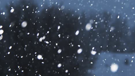 Snow-falling-slowly-over-a-dark-sky-with-trees-in-the-background