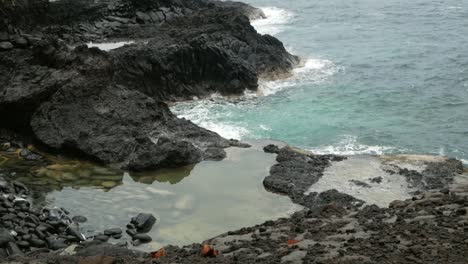 the cool and refreshing small water pool on the rocky shore of são tomé island - wide shot