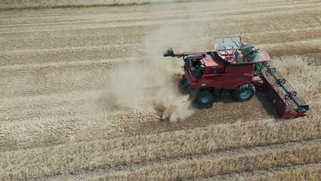 25 august 2024 penkule, latvia - aerial view of combine harvester at work. summer field work on the farm. top view of combine gathering corn or wheat crop.