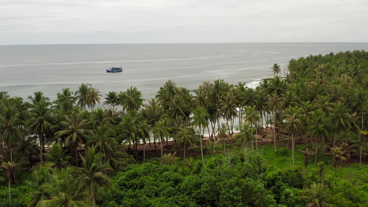 Aerial flight revealing surfers in breaking swell in Indonesian palm beach bay