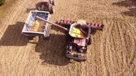 combine harvesting mature corn field, depositing into the wagon - aerial ascending