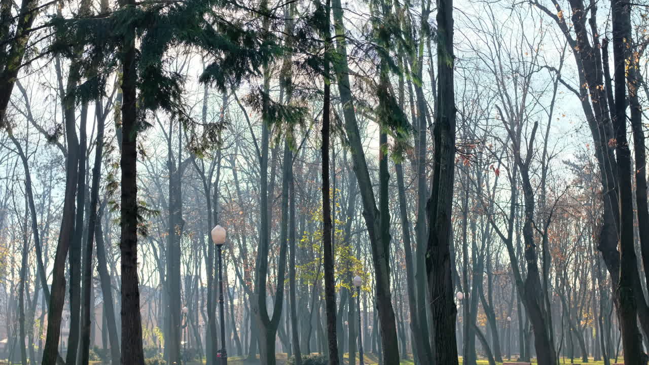View of Copou Park in Iasi, Romania. Benches, paths, bare trees, green grass