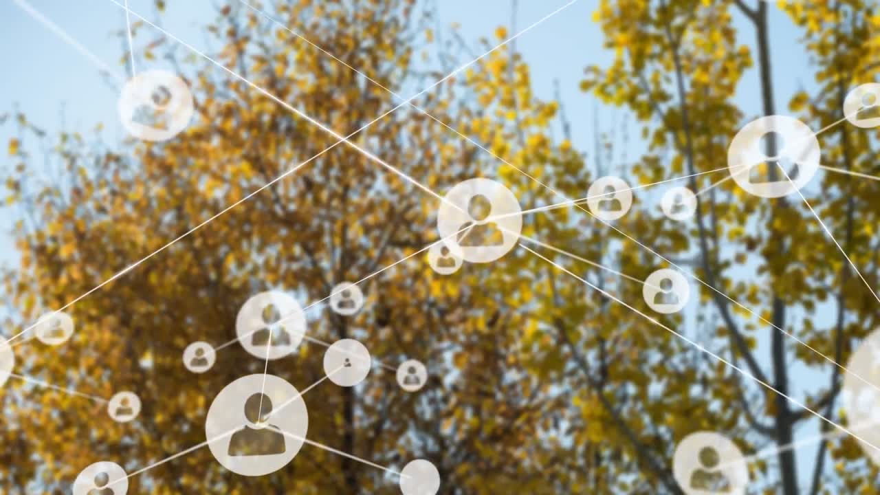 숲은 나무가 많은 아름다운 곳입니다.