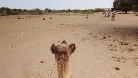 pov of camel trekking through thar desert, jaisalmer, rajasthan, india