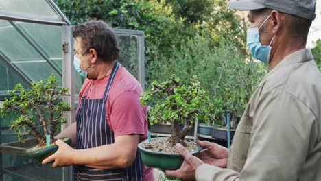 Diverse-male-gardeners-wearing-face-masks,-taking-care-of-bonsai-tree-at-garden-center