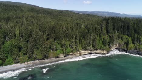 aerial view of wilderness on vancouver island coastline, canada