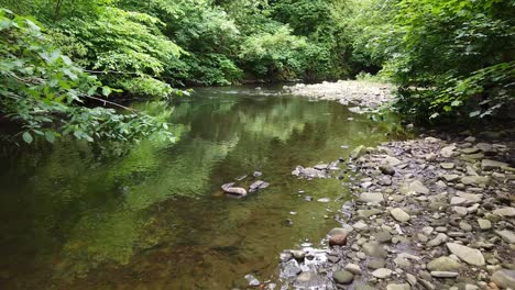 Waldflussszene,-Gefilmt-Im-Derbishire-Peak-District,-Drohnenaufnahmen,-Die-Sich-Vorwärts-Durch-Bäume-Bewegen