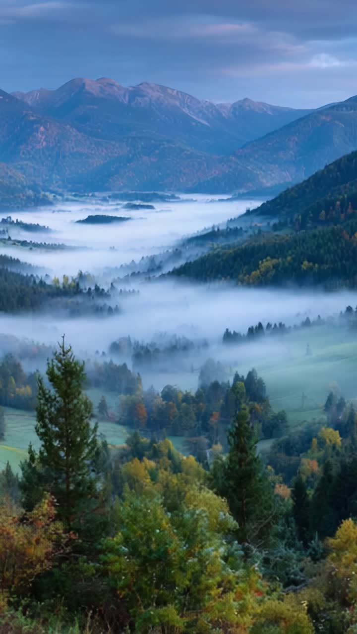 Serene Misty Valley with Majestic Mountains and Lush Green Forests at ...