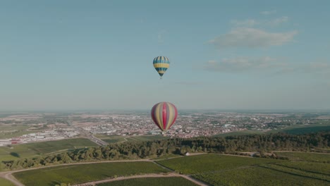 4.000 globos aerostáticos aéreos sobre viñedos drone dolly out