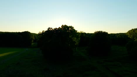 Eine-Atemberaubende-Sonnenaufgangsszene-In-Der-Grünen-Landschaft-Des-Nationalparks-Donauauen-In-Wien,-Österreich-–-Schwenk-Aus-Der-Luft