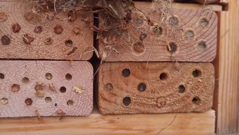 insect hotel or pollinator house - for bees and other pollinators, close up