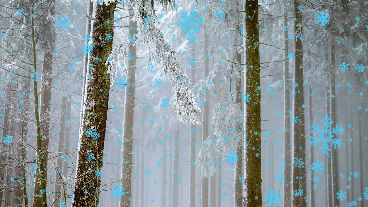 크리스마스 뮤직 비디오 또는 크리스마스 또는 겨울에 관한 기타 비디오의 배경 비디오