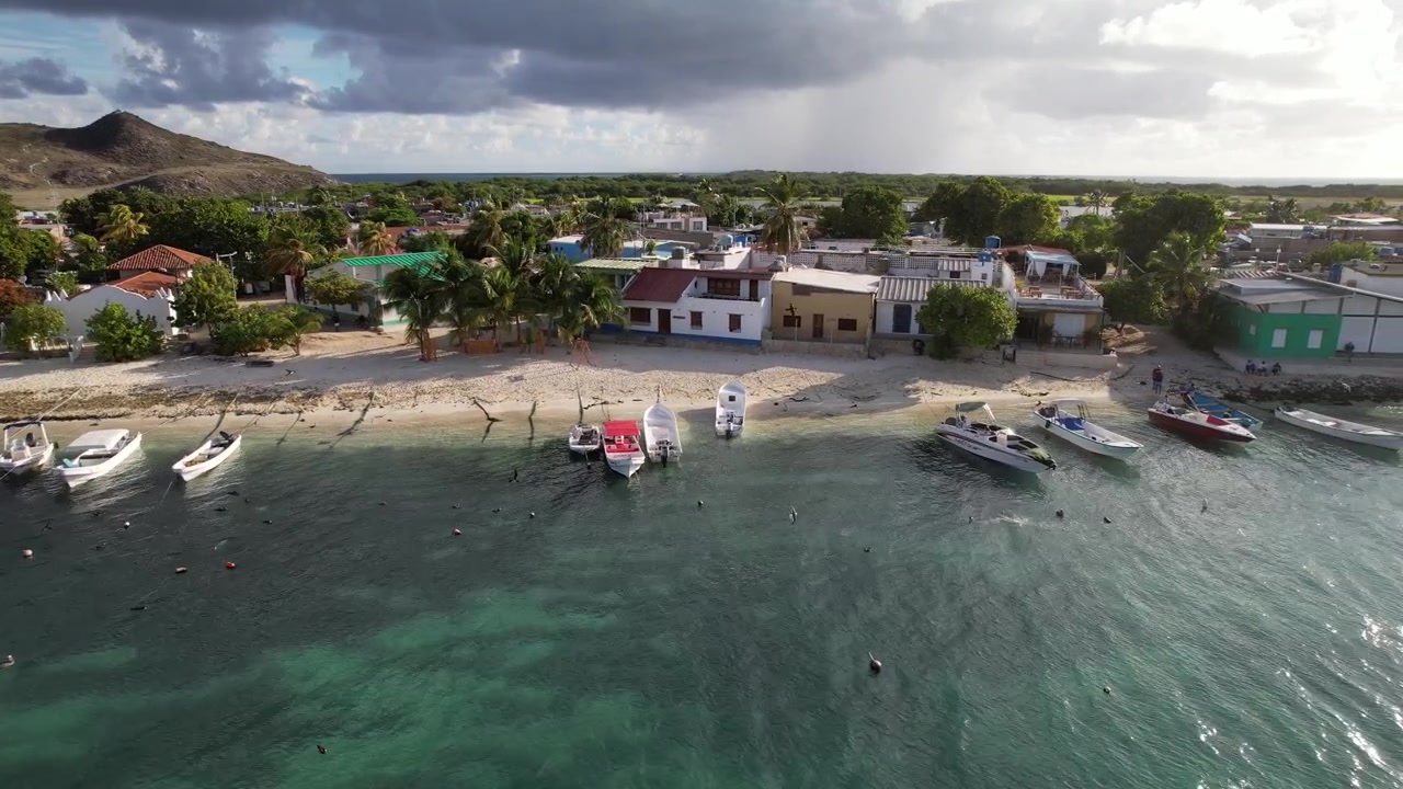 Vista aerea del litorale, barche allineate, uccelli in volo, atmosfera tranquilla da spiaggia.