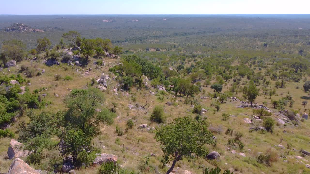 드래켄스베르크 산맥, 나무와 숲 위를 날아다니는 자연 촬영.