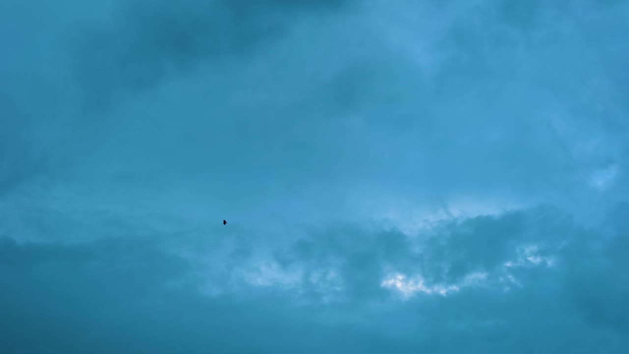 외로운 실루 새가 멀리서 날아다니며, 밝은 파란 하늘, 혼자 날개를 움직인다.