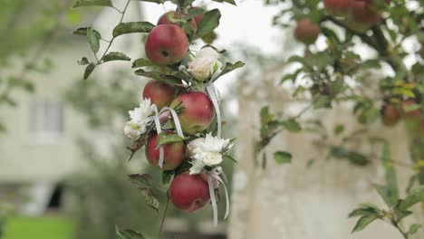 beautiful wedding bouquets hangs on an apple tree