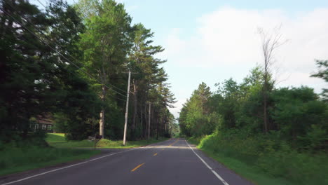 driving on a tree lined highway