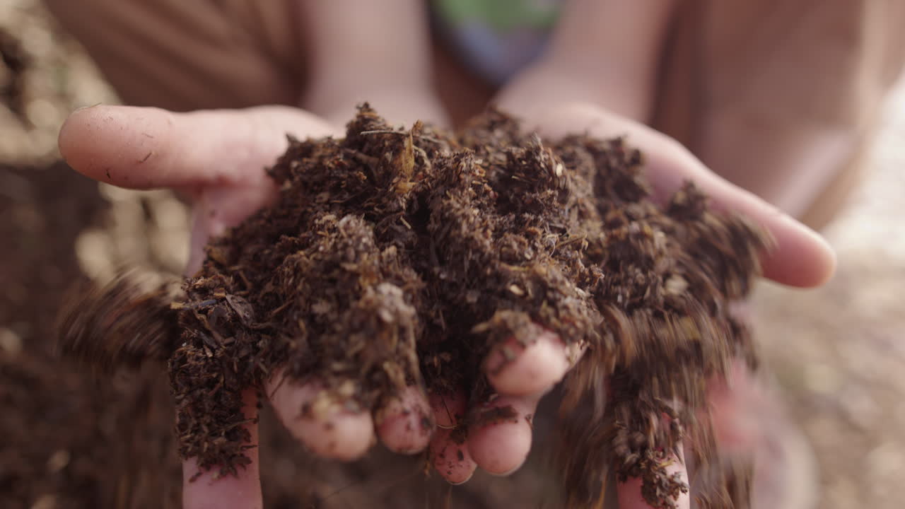 A female farmer studies fertile compost in her hands, summer