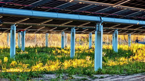 Under solar panel renewable energy farm, moisture issue problem condensation haze