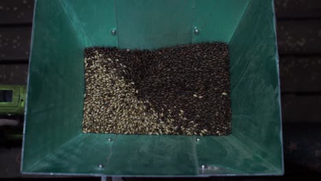 top-down view inside malt milling equipment as it crushes the grains in the rollers inside a beer brewing factory