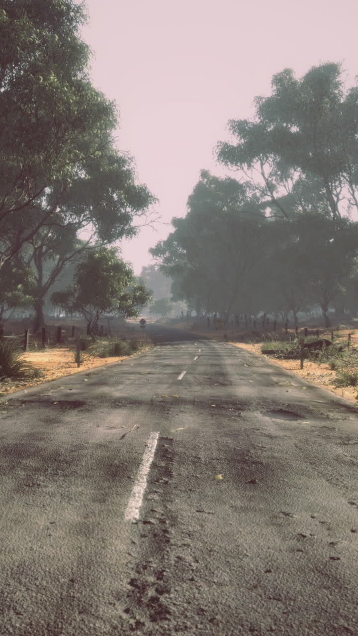 Empty road stretches into the distance