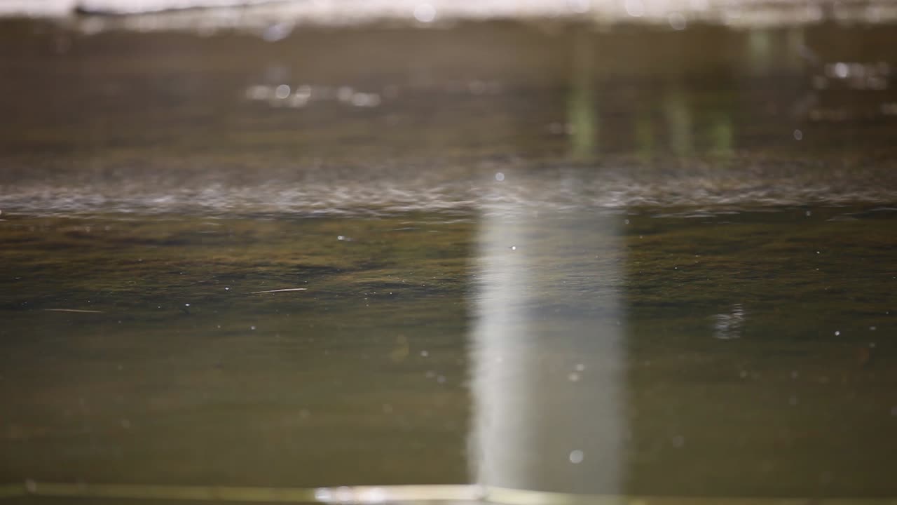 arc1과 저명한 사진작가 tim allen이 촬영한 www