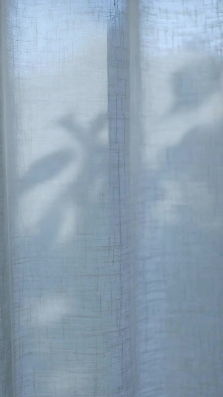 Vertical video: Shifting daylight casting leaf shadows across sheer curtain at window, showing seam