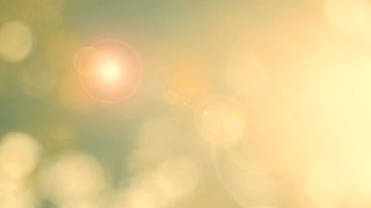 초록색 배경, 추상적인 흐릿한 잎자루, 밝은 빛