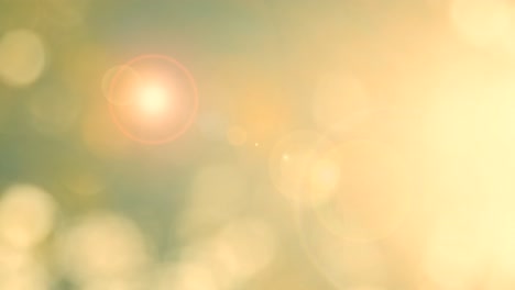 fondo biológico, abstracto follaje borroso luz solar brillante