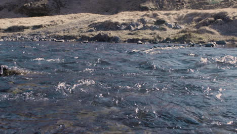 pequeño río a la luz del sol a cámara lenta