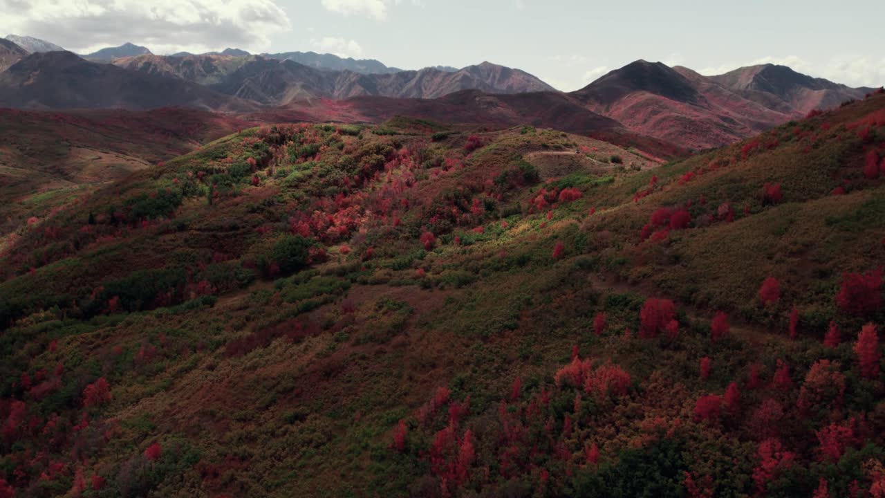 솔트레이크시티의 가을 잎자루와 산맥의 드론 촬영 60fps