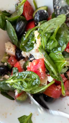 delicious greek salad
