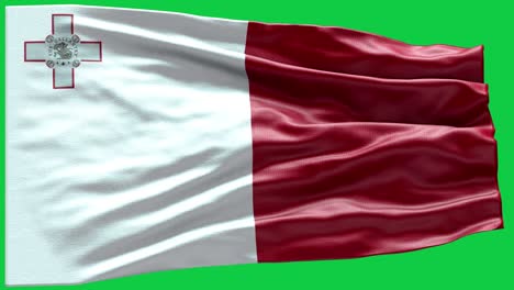 4k bandera de malta muy detallada - bandera de malta de alto detalle - bandera nacional patrón de ondas de malta elementos en bucle