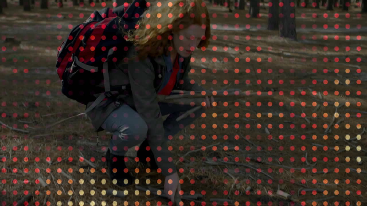 woman gathering sticks in forest, showing floating leaf icons and education graphs