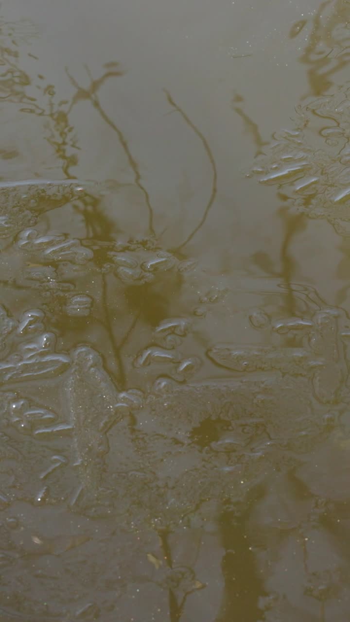 lago en la naturaleza