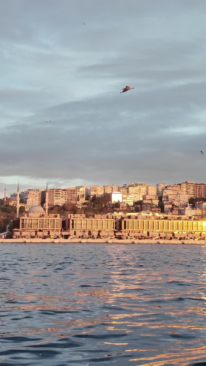 Paesaggio urbano dello Stretto del Bosforo al tramonto con acqua dorata e gabbiani