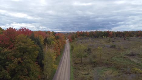 Aerial-View-Of-Fall-Colours-In-Caledon,-Rural-Country-Ontario