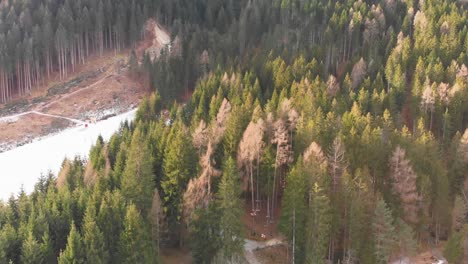 Panorámica-Aérea-Lenta-De-Un-Denso-Bosque-De-Pinos-Cerca-De-Una-Zona-De-Esquí-En-Los-Alpes-Italianos