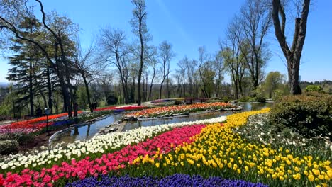 el festival de los tulipanes de estambul.