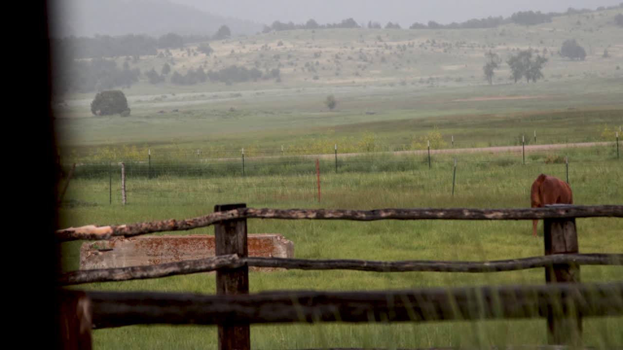 바람에 부는 여름 콜로라도 목장 울타리 잔디