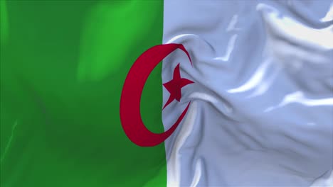 flag of algeria