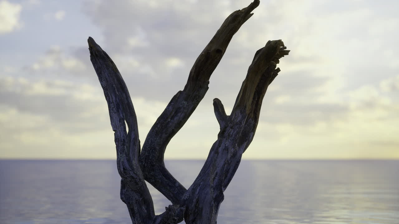 Unique weathered driftwood stands against a tranquil ocean backdrop at dusk
