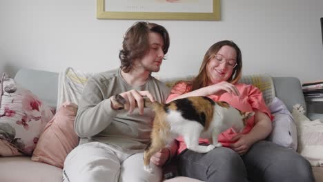 un gato adorable que busca la atención de sus dueños, una joven pareja feliz y enamorada.